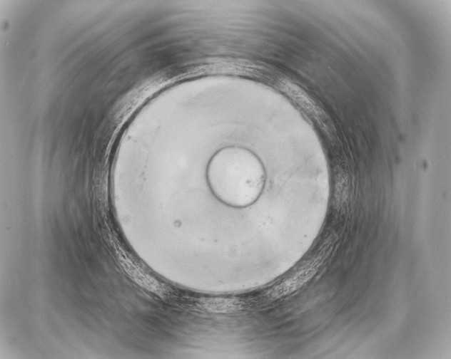 X0000087010836200705141829