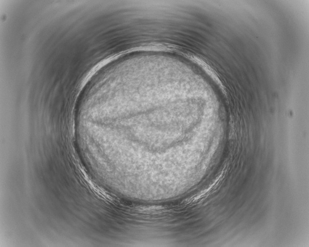 X0000087010837200705141829