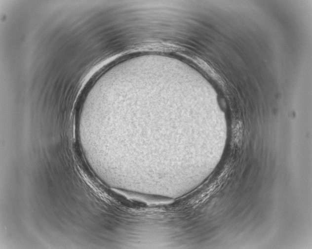 X0000087010838200705141829