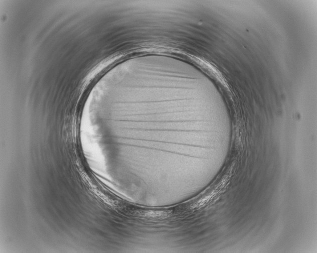 X0000087010839200705141829