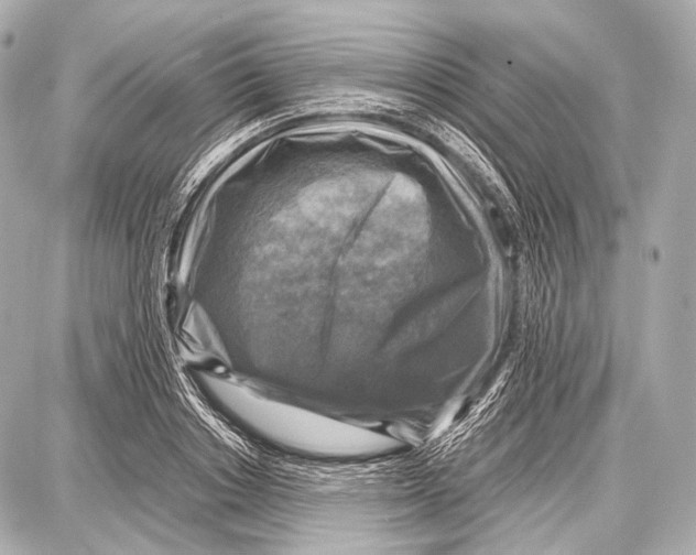 X0000087010842200705141829