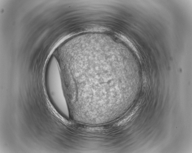 X0000087010843200705141829