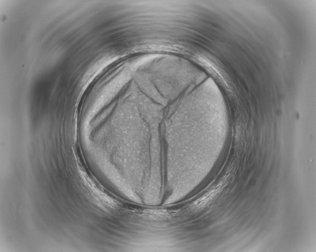 X0000087010844200705141829