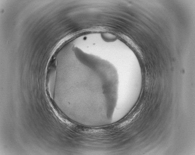 X0000087010845200705141829