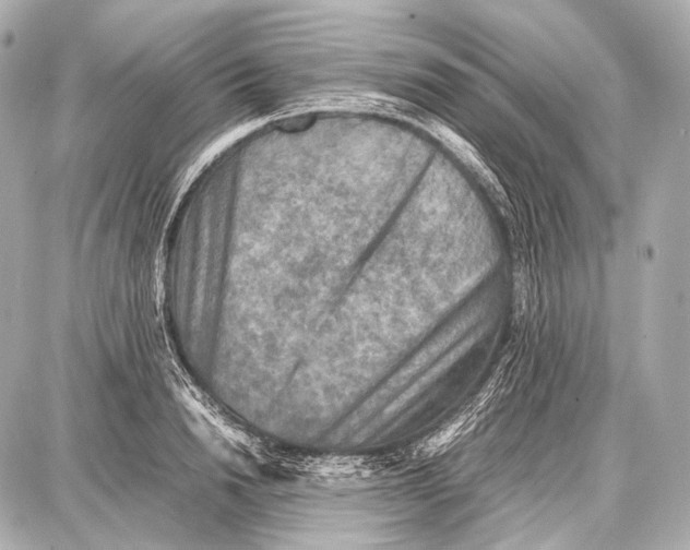 X0000087010846200705141829