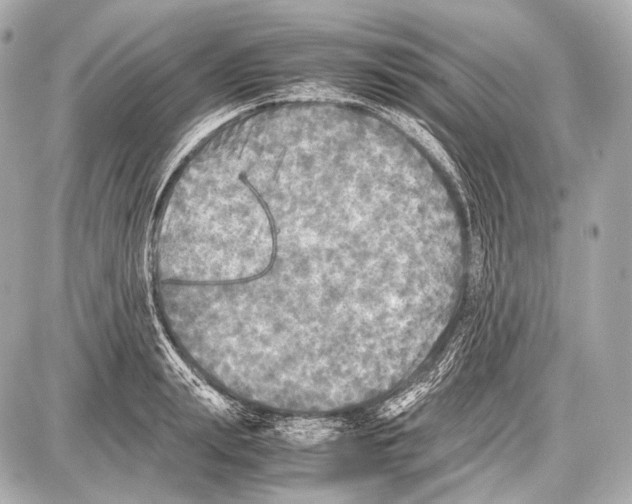 X0000087010847200705141829