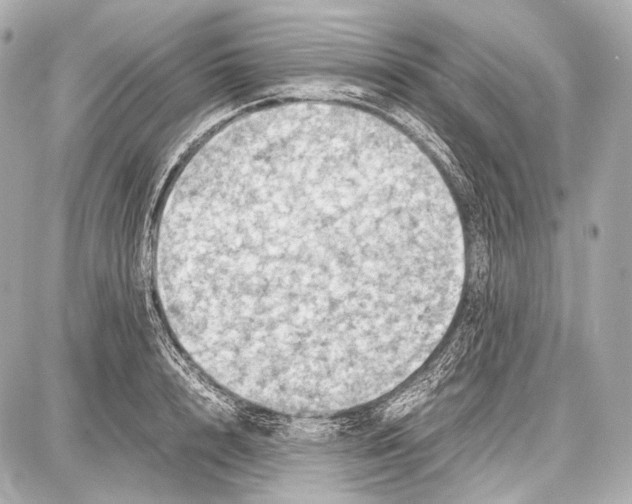 X0000087010848200705141829