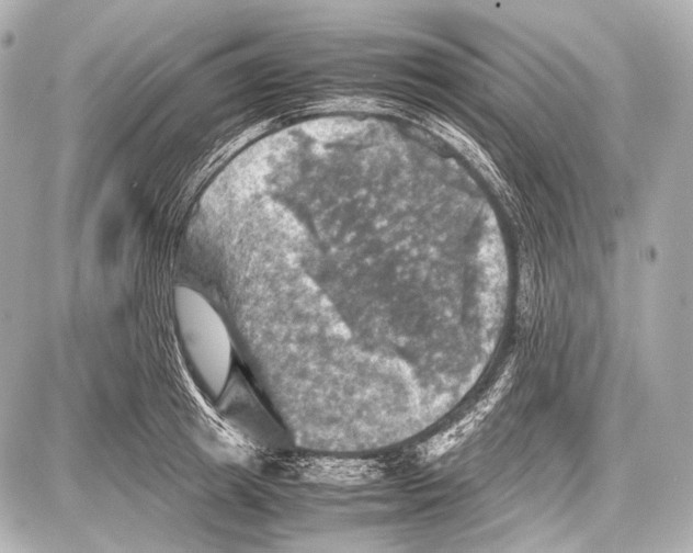 X0000087010849200705141829