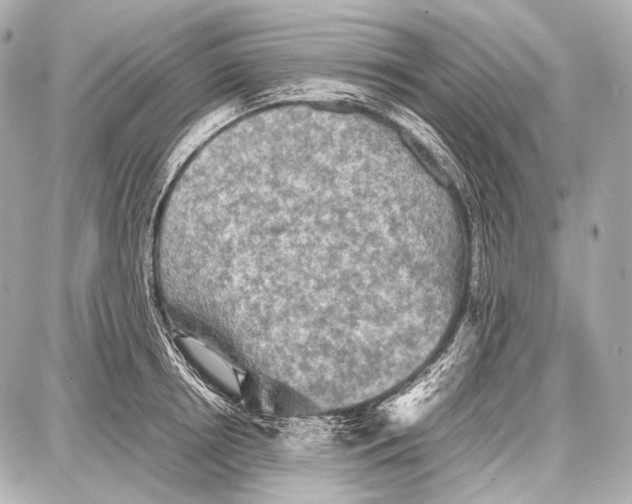 X0000087010850200705141829