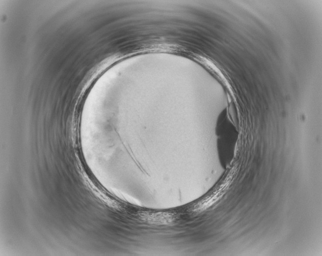 X0000087010851200705141829