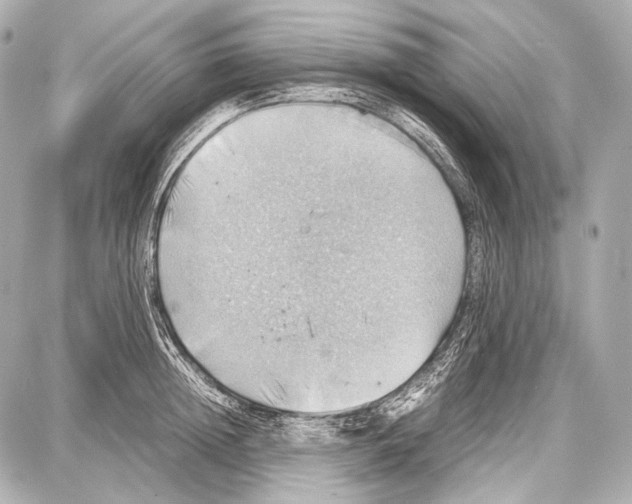 X0000087010852200705141829