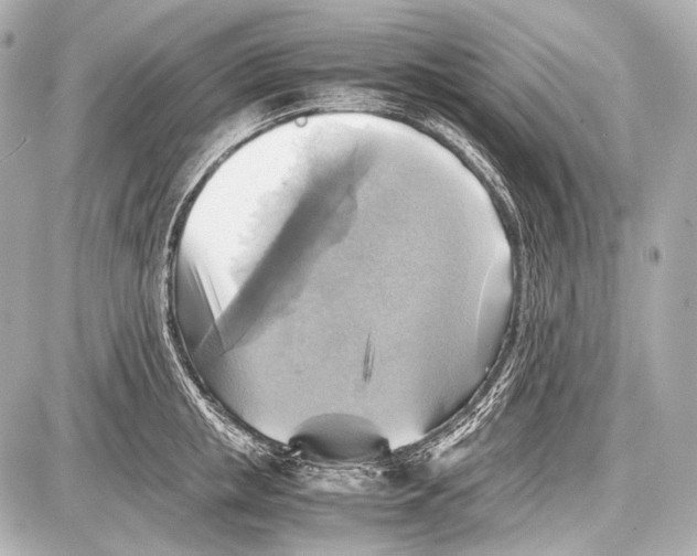 X0000087010853200705141829