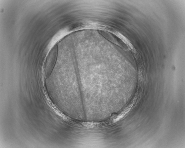 X0000087010854200705141829