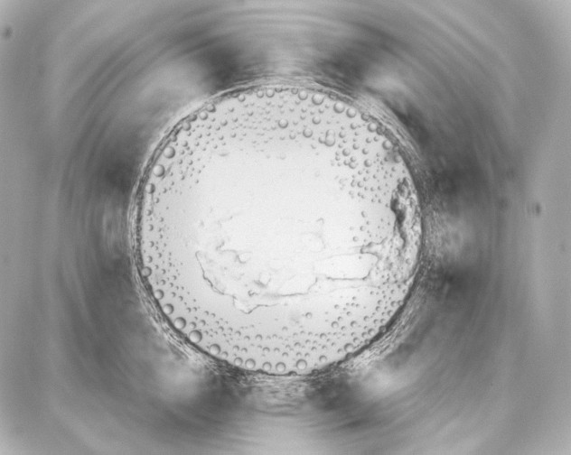 X0000087010856200705141829