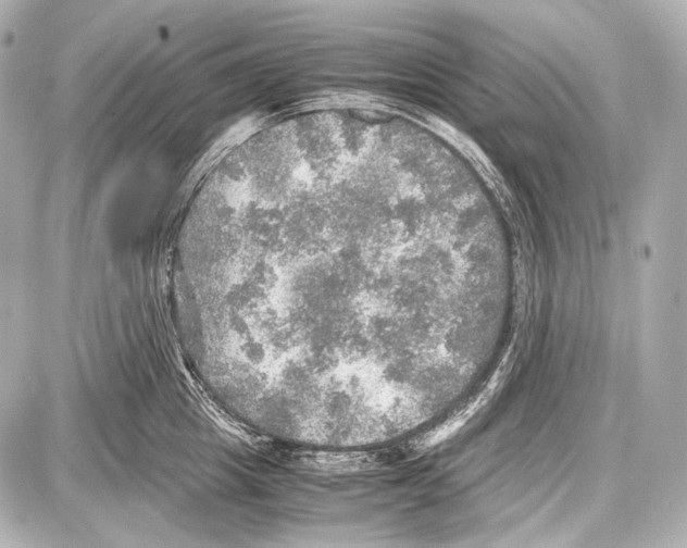 X0000087010857200705141829