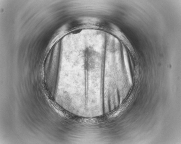 X0000087010858200705141829