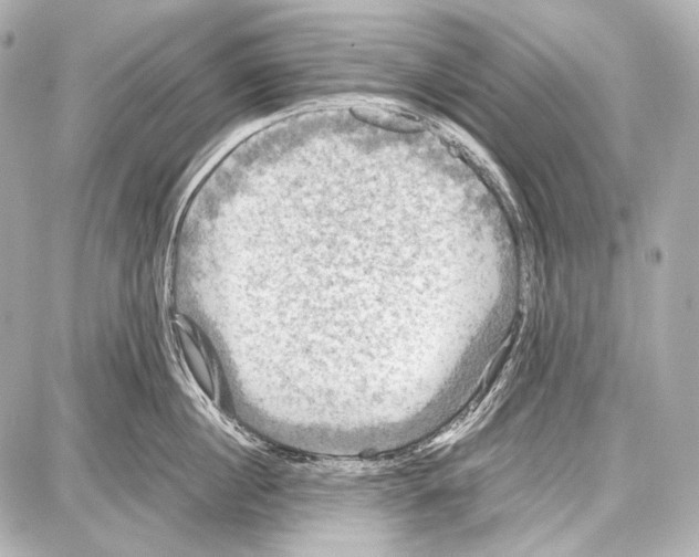 X0000087010860200705141829