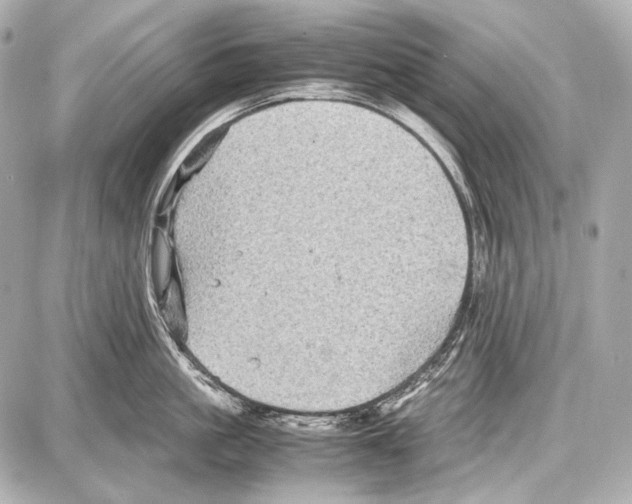 X0000087010861200705141829