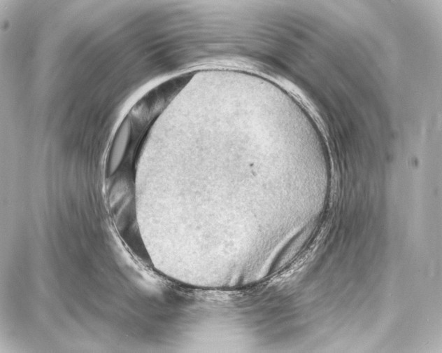 X0000087010862200705141830