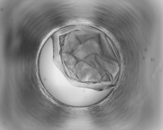 X0000087010864200705141830