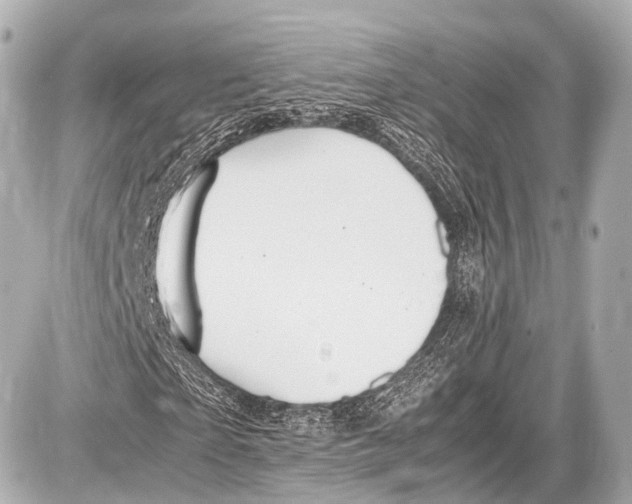 X0000087010865200705141829