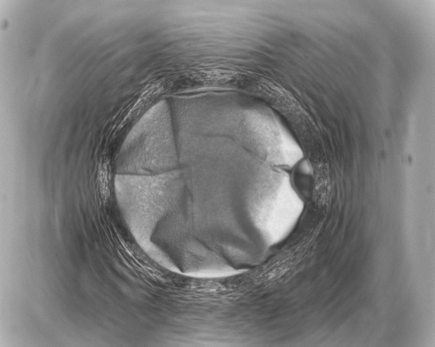 X0000087010866200705141829