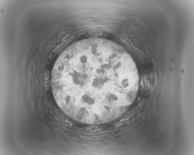 X0000087010867200705141829