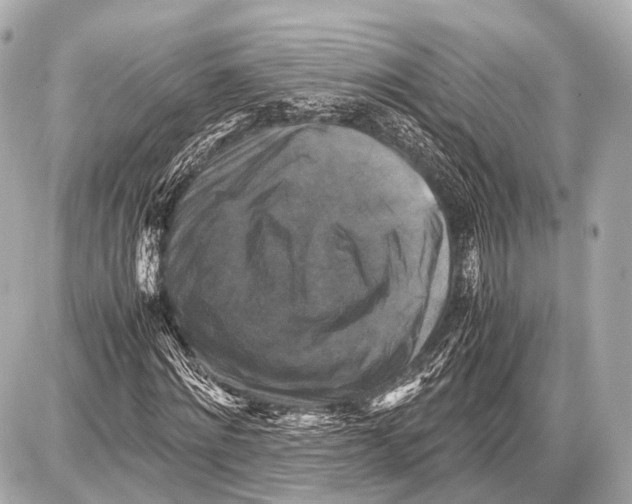 X0000087010868200705141829