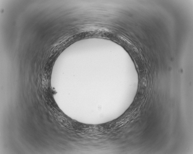 X0000087010869200705141829