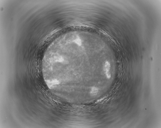 X0000087010870200705141829