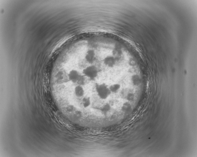 X0000087010871200705141829