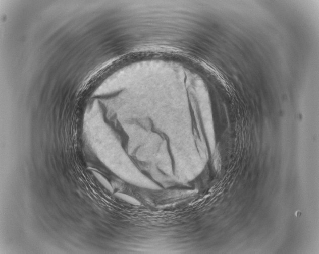 X0000087010872200705141829