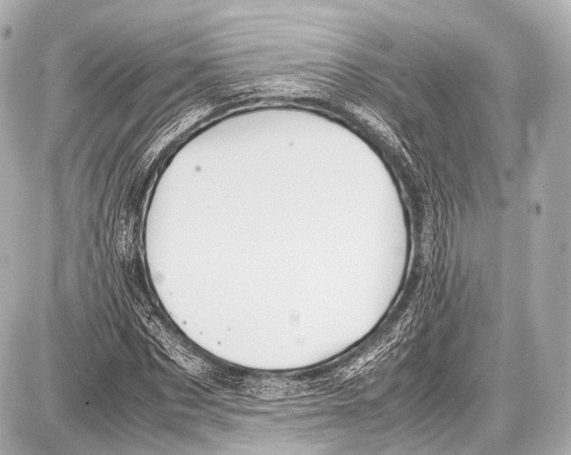 X0000087010873200705141829