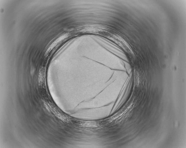 X0000087010874200705141829