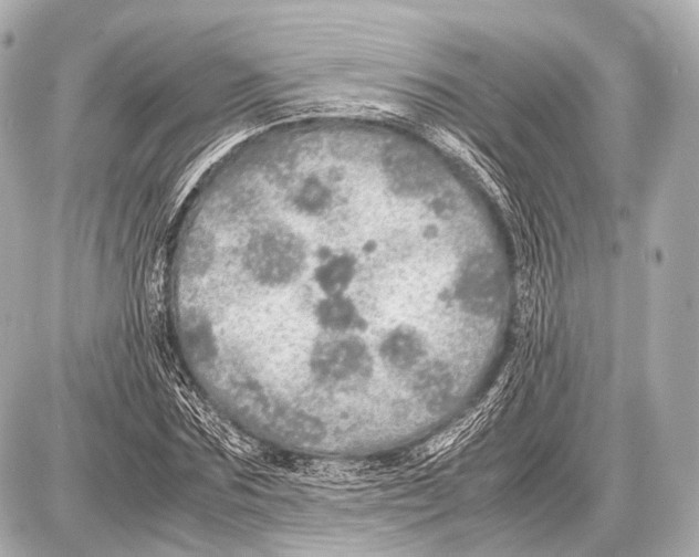 X0000087010875200705141829