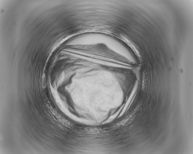 X0000087010876200705141829