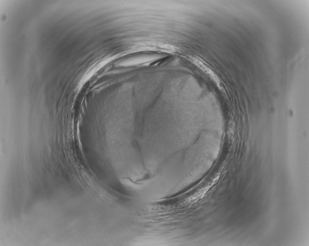 X0000087010877200705141829