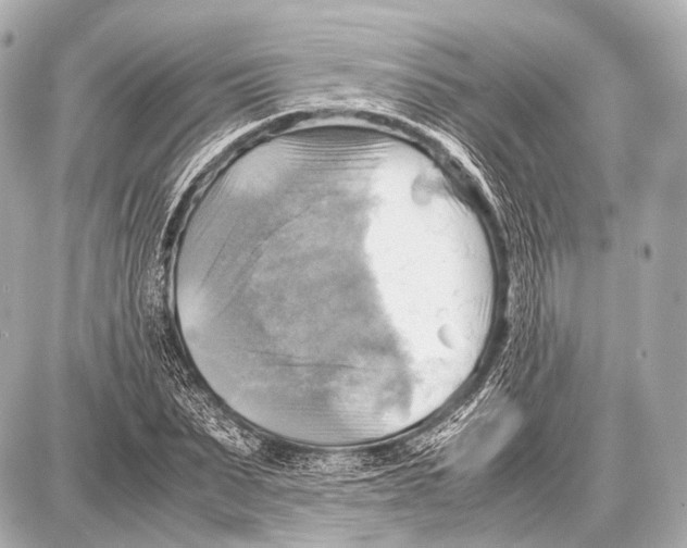 X0000087010879200705141829