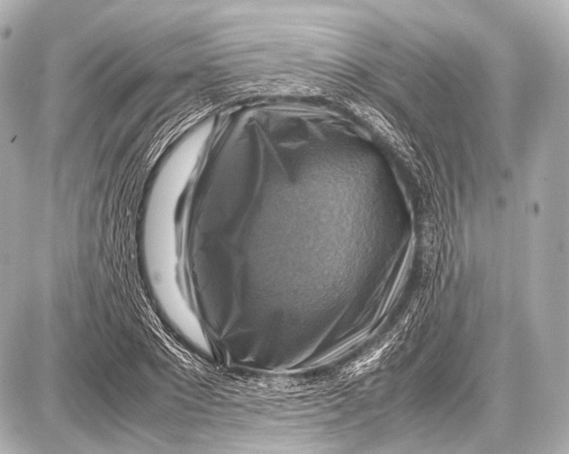 X0000087010881200705141828