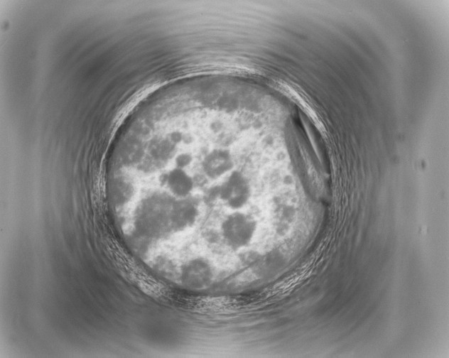 X0000087010883200705141828