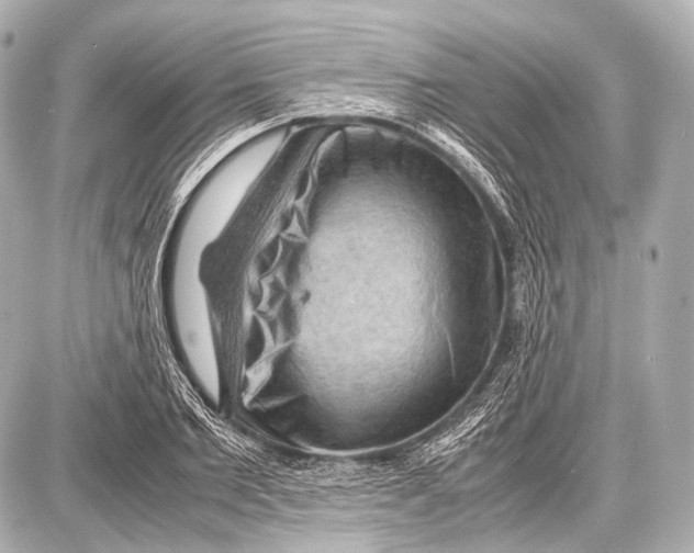 X0000087010885200705141828