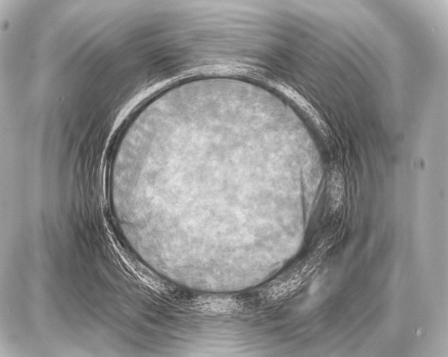 X0000087010886200705141828