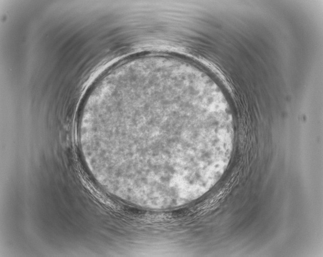 X0000087010887200705141828