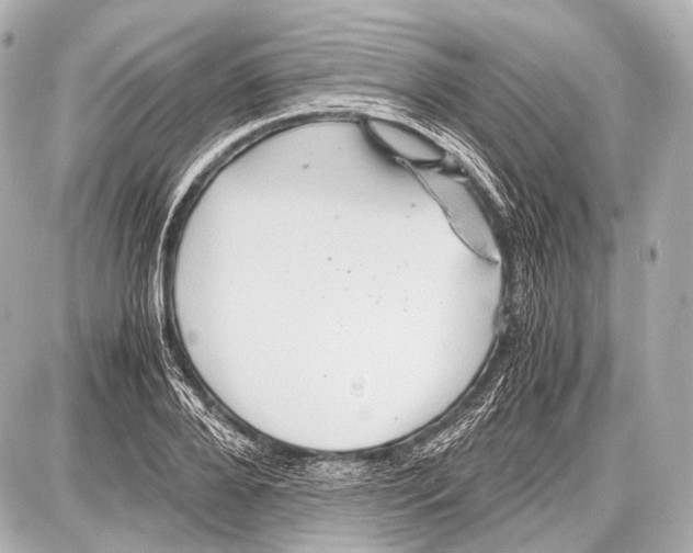 X0000087010888200705141828