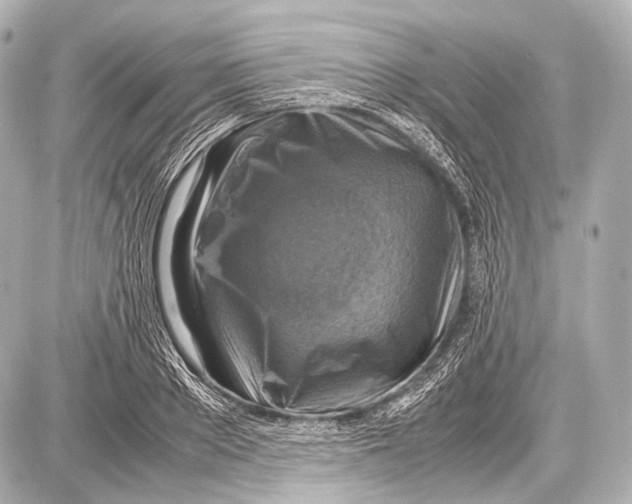 X0000087010889200705141828