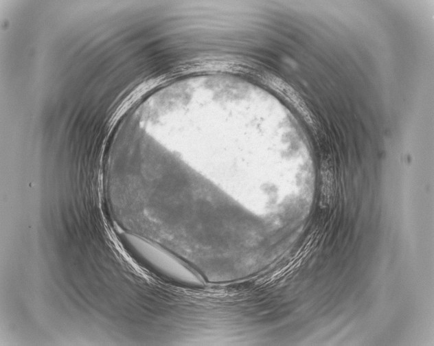 X0000087010890200705141828