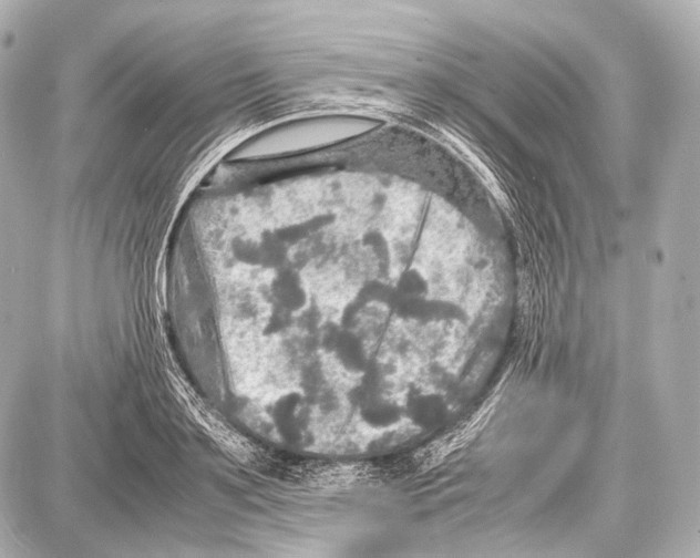 X0000087010891200705141828