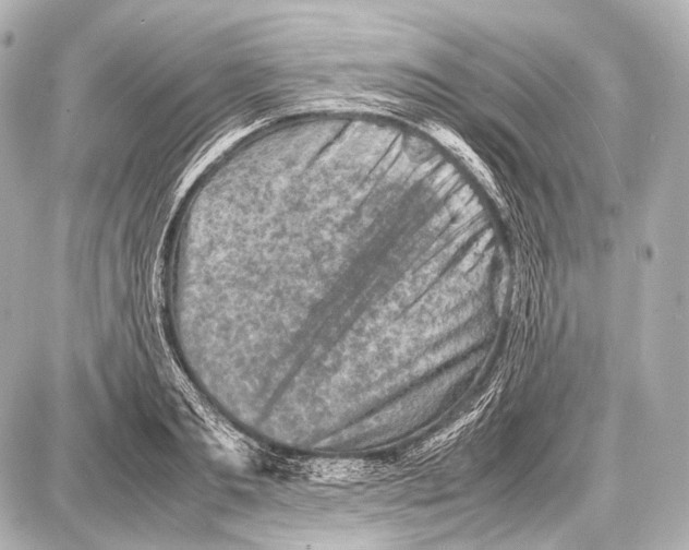 X0000087010893200705141828