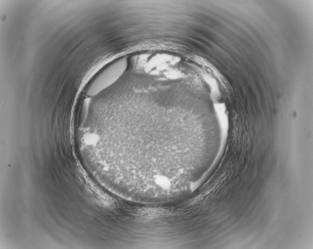 X0000087010894200705141828