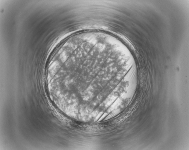 X0000087010895200705141828